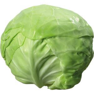 Cabbage PNG image-8785